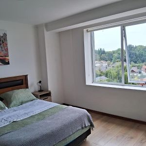 Departamento Los Carrera Centro
